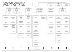 Структура организации